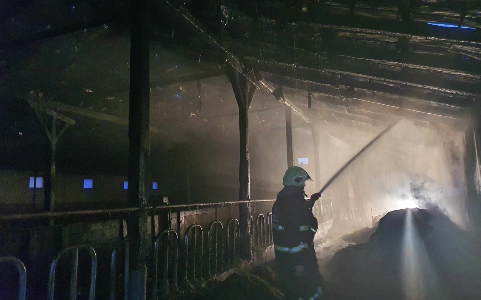 Foto: arhiv PGD Biš