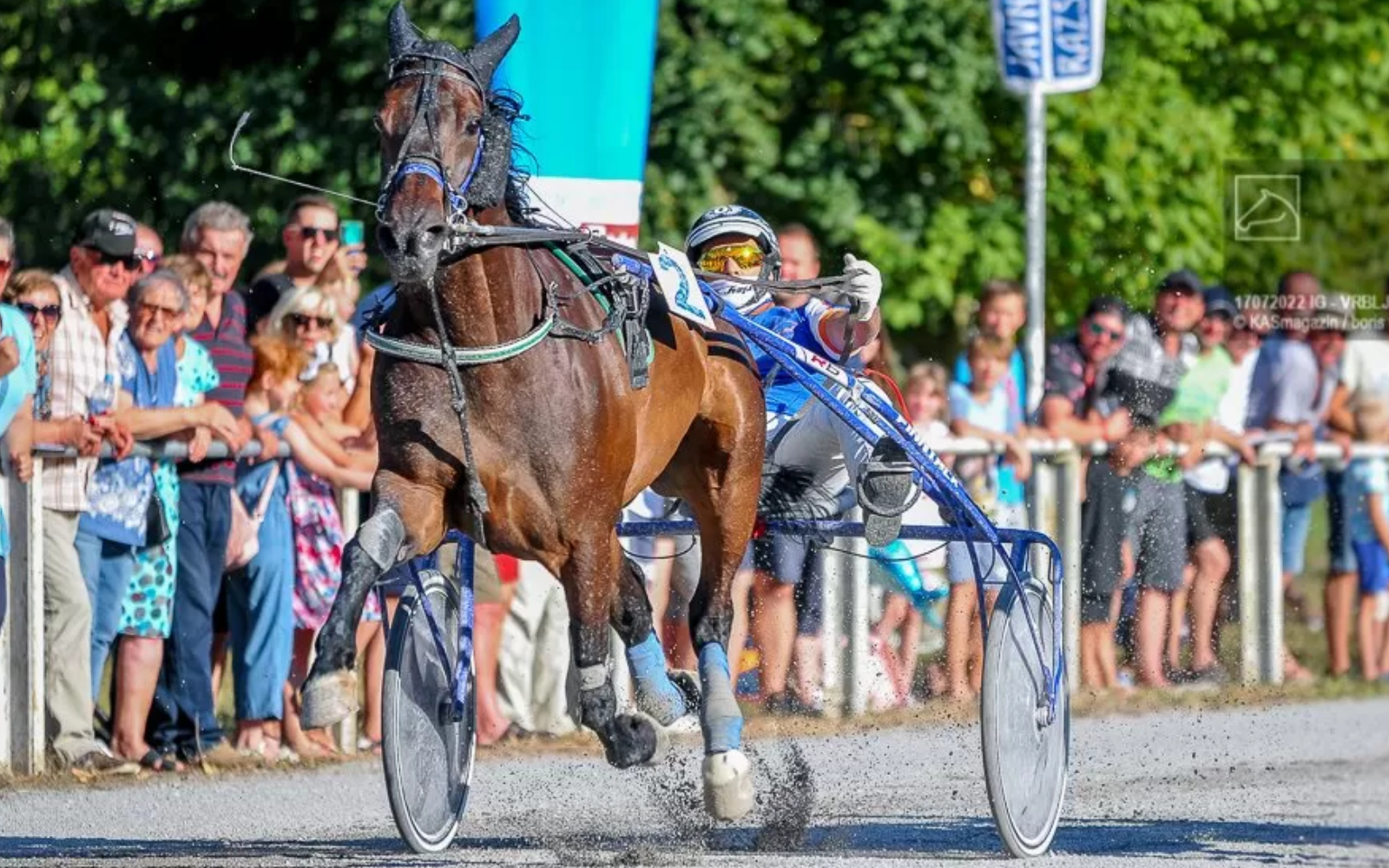Bo lenarška kobila Krack du Clocher dobila Ljubljansko miljo? Foto: Arhiv KZS