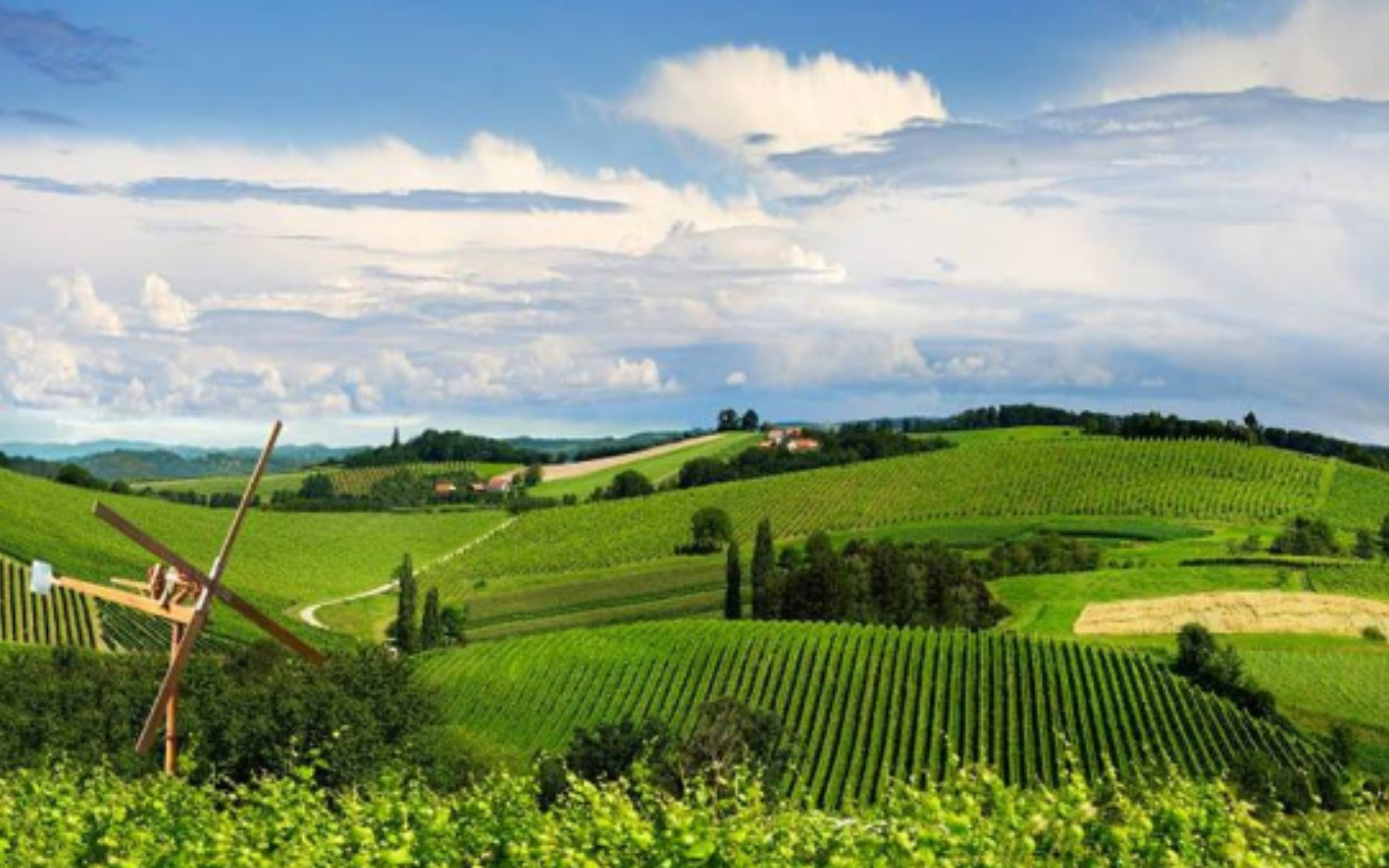 Foto: arhiv agencije