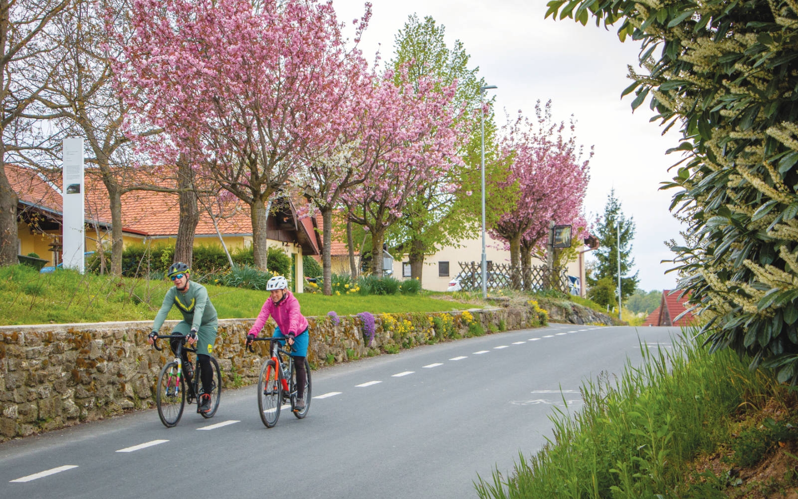 Foto: Matevž Hribar