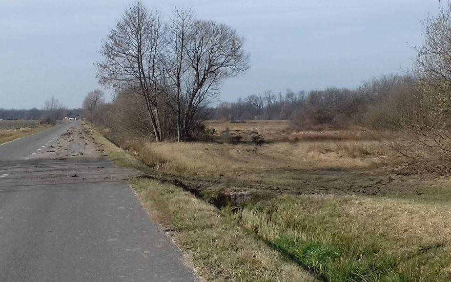 Foto: svetovni splet