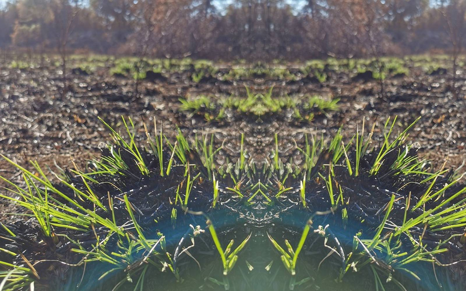 Opustošeno lovišče LD Fajti hrib. Foto: arhiv LD.
