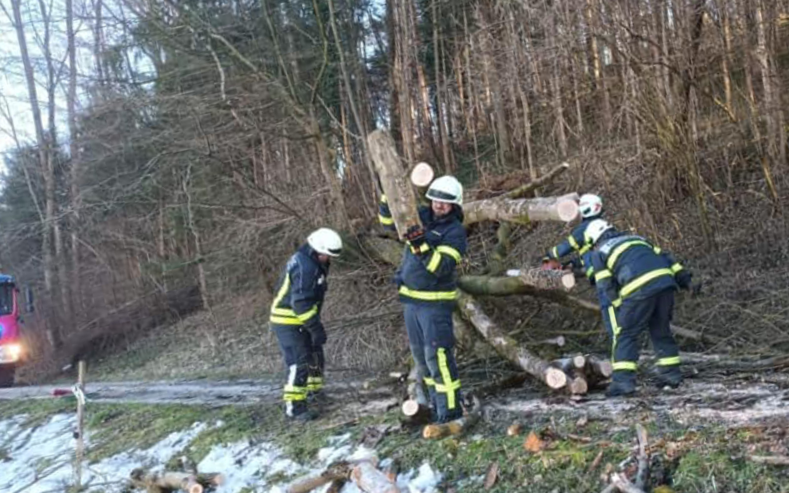 pgd drevo vinicka 1p