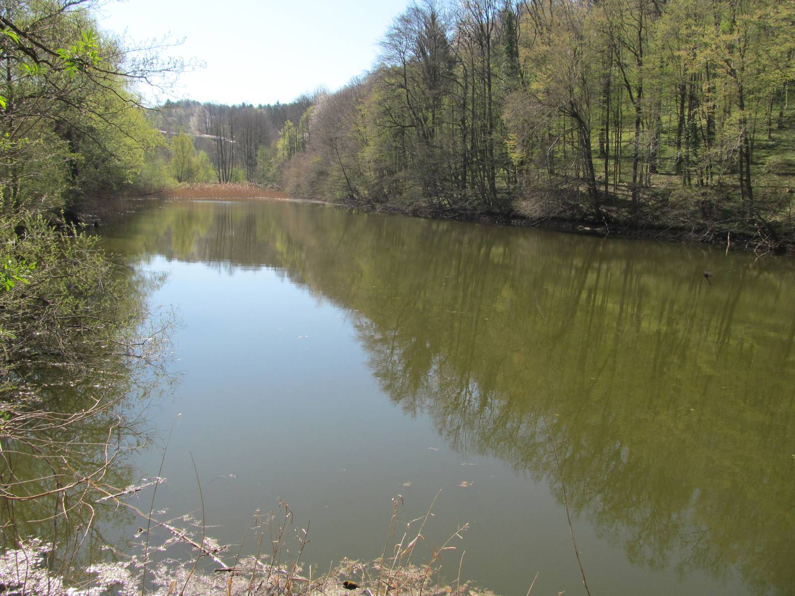 HRASTOVŠKI GRAJSKI RIBNIK