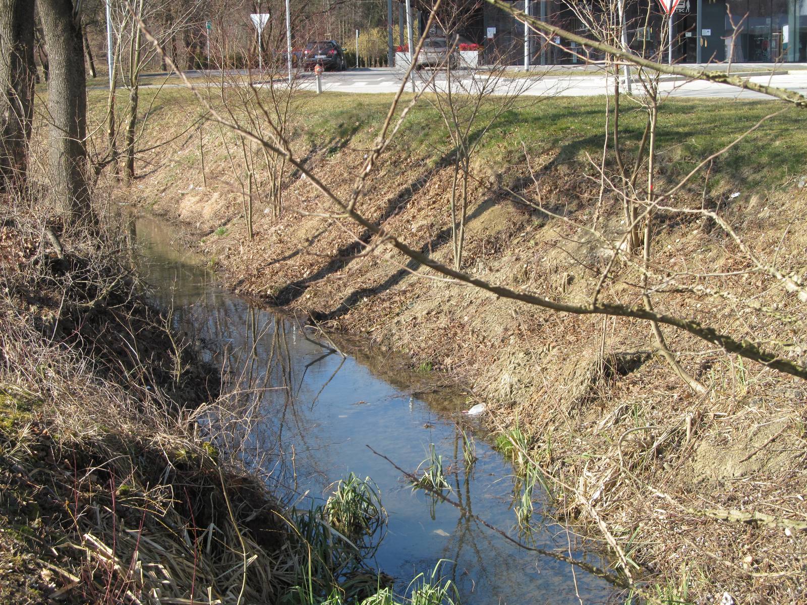 globovnica2