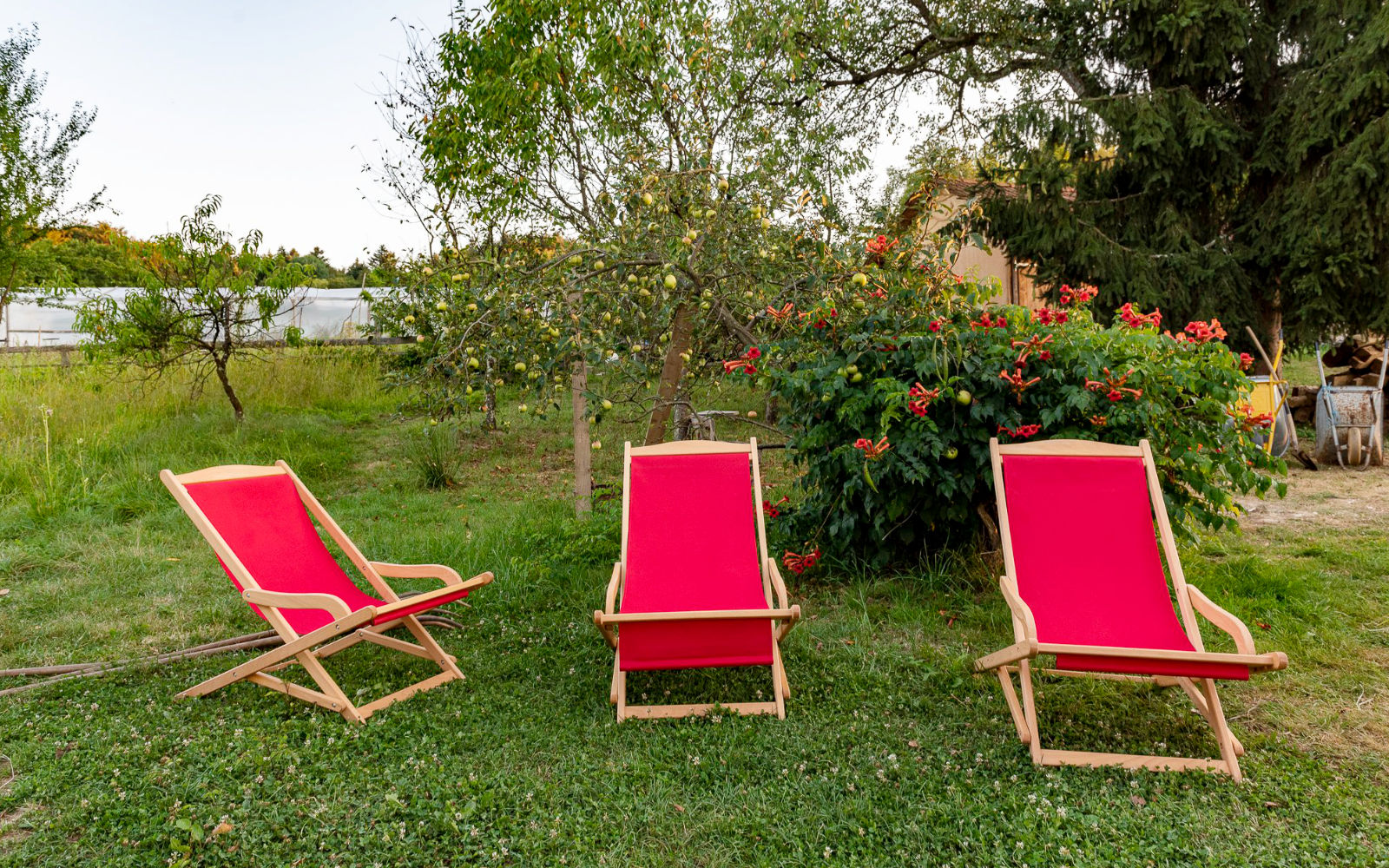 knjiznica pod krosnjami 2