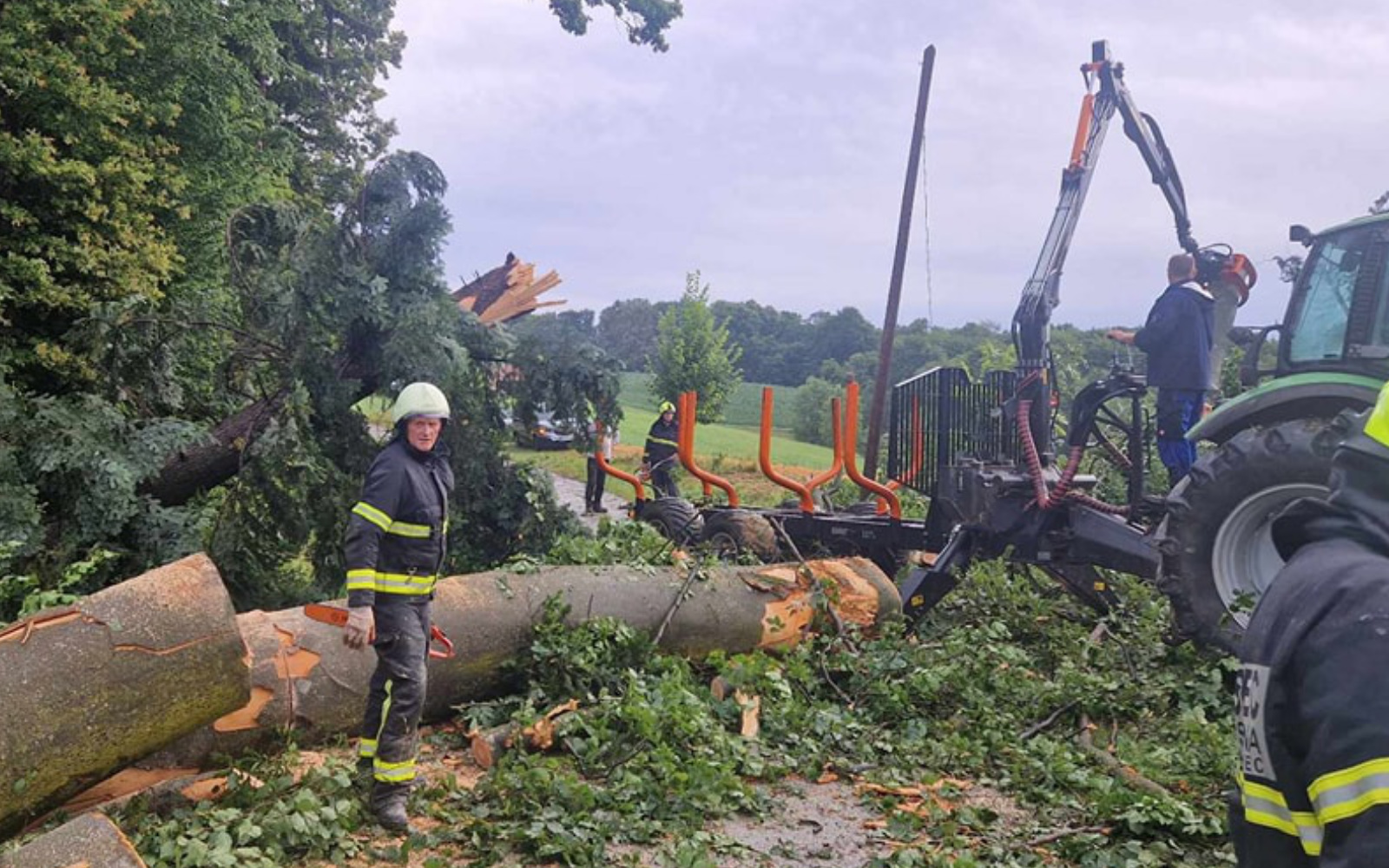 naurje lenart 5 splet