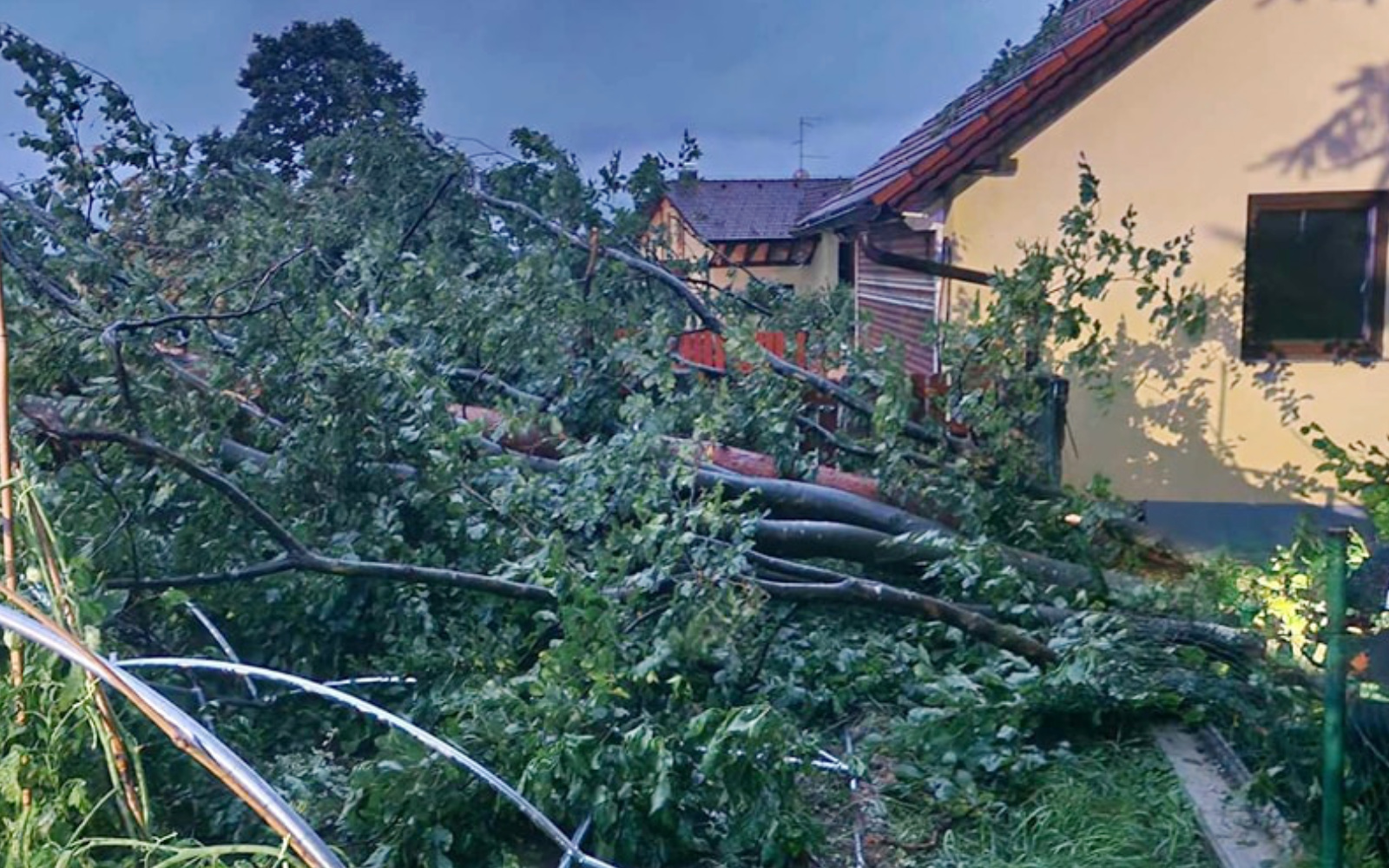 naurje lenart 8 splet